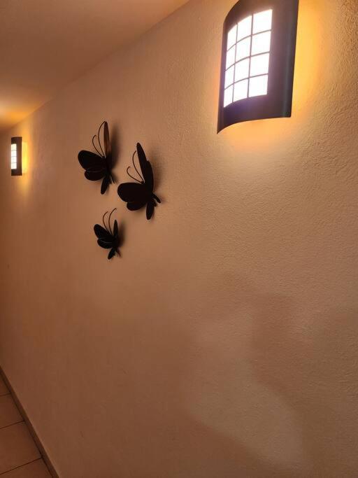 Apartamento Departamento De Lujo. Seguridad 24. Playa A Pasos. Acapulco Exterior foto